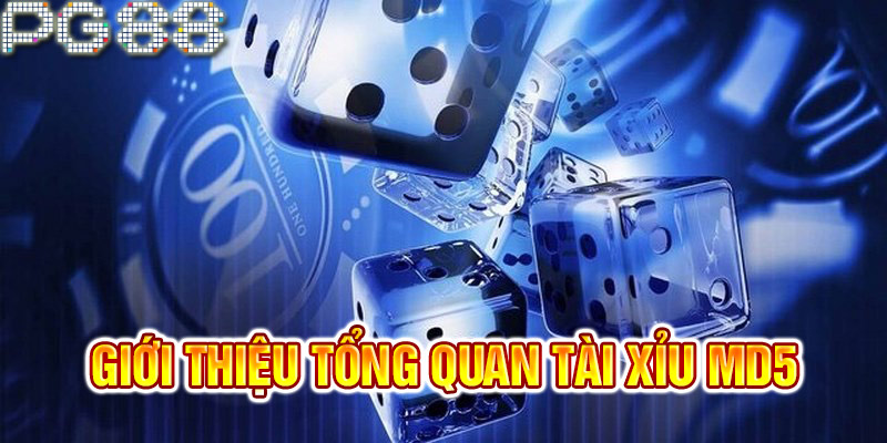 Hãy đọc xem tài xỉu md5 là gì