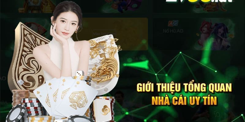 Vài nét tóm tắt sơ lược về thương hiệu uy tín PG88